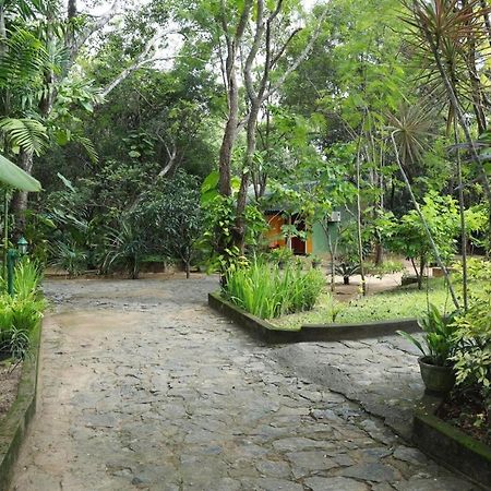 Jays Holiday Resort 하바라나 외부 사진