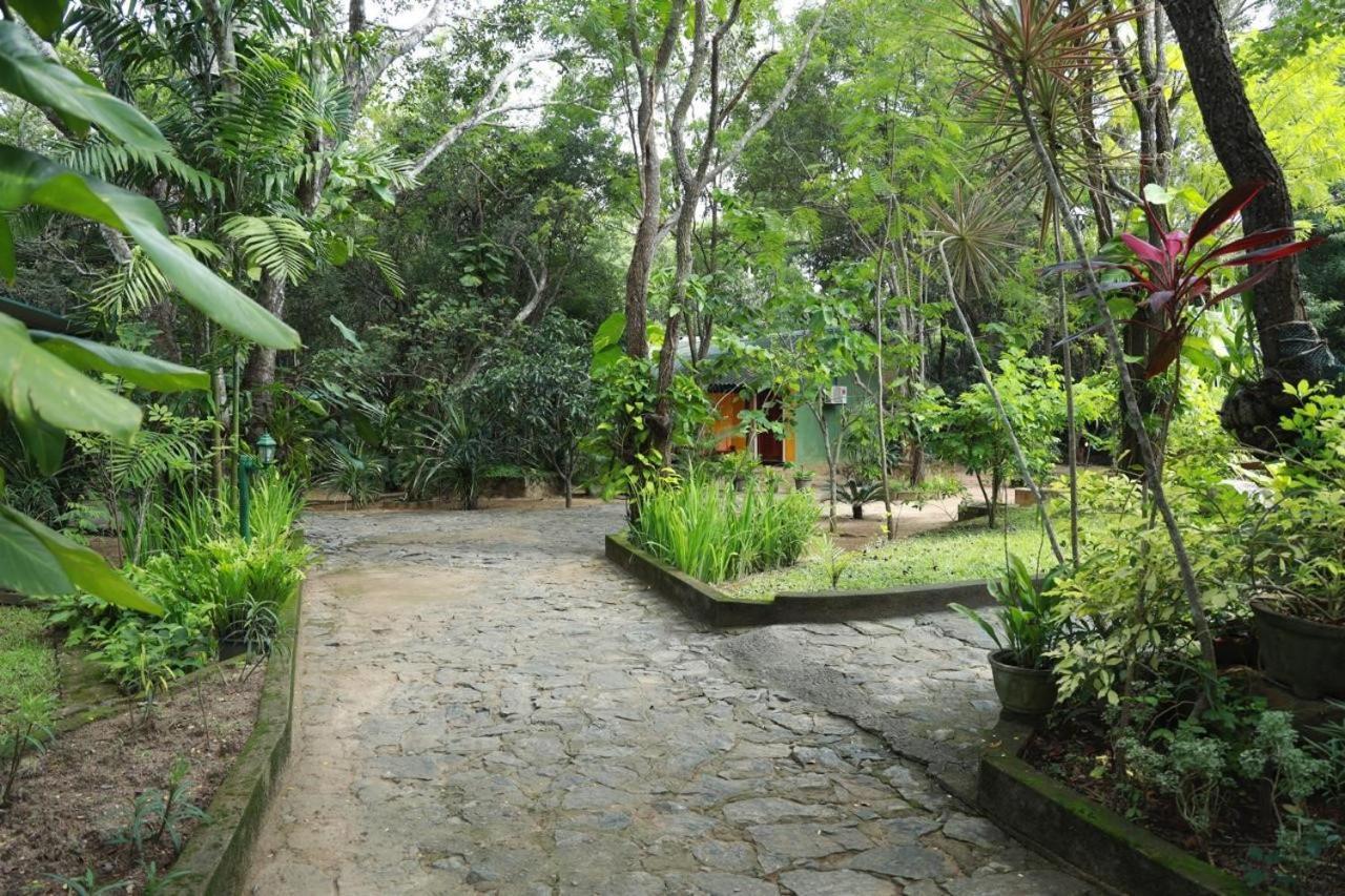 Jays Holiday Resort 하바라나 외부 사진