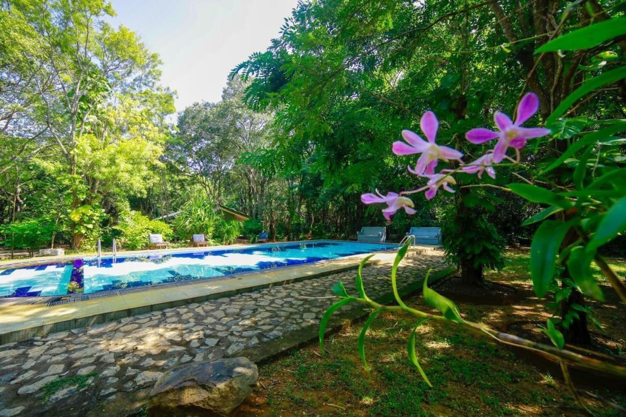 Jays Holiday Resort 하바라나 외부 사진
