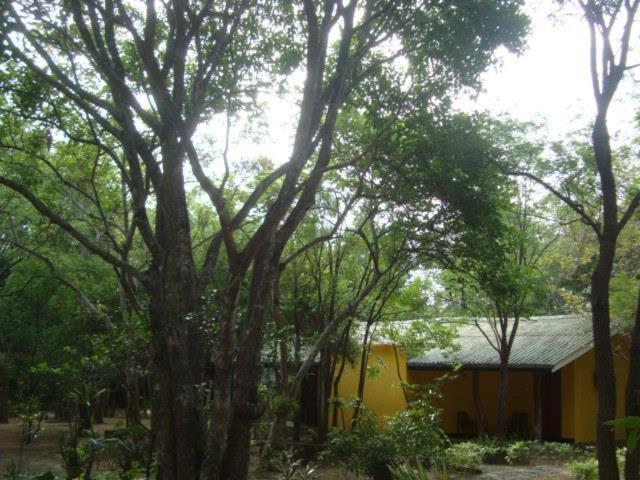Jays Holiday Resort 하바라나 외부 사진